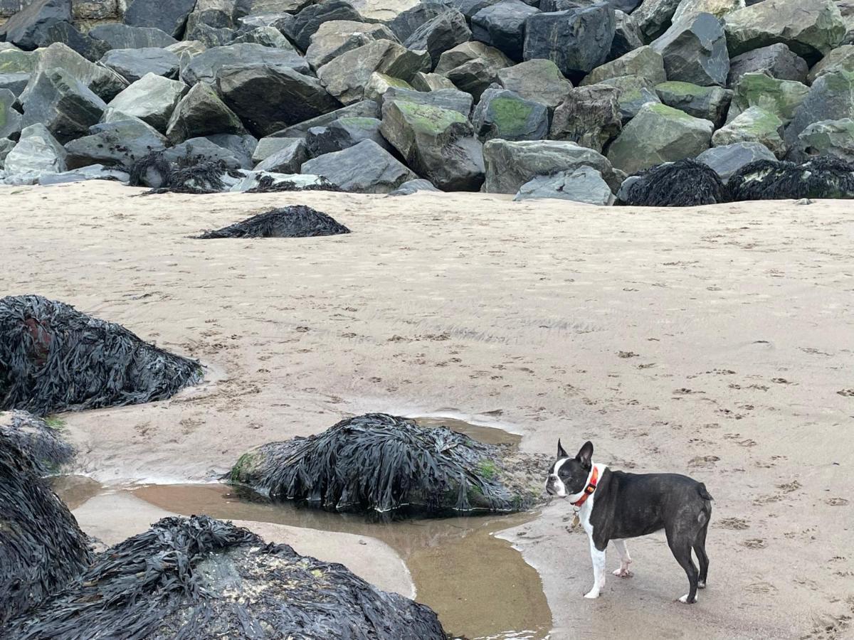 Four-Bedroom House,1202887096:JPEG