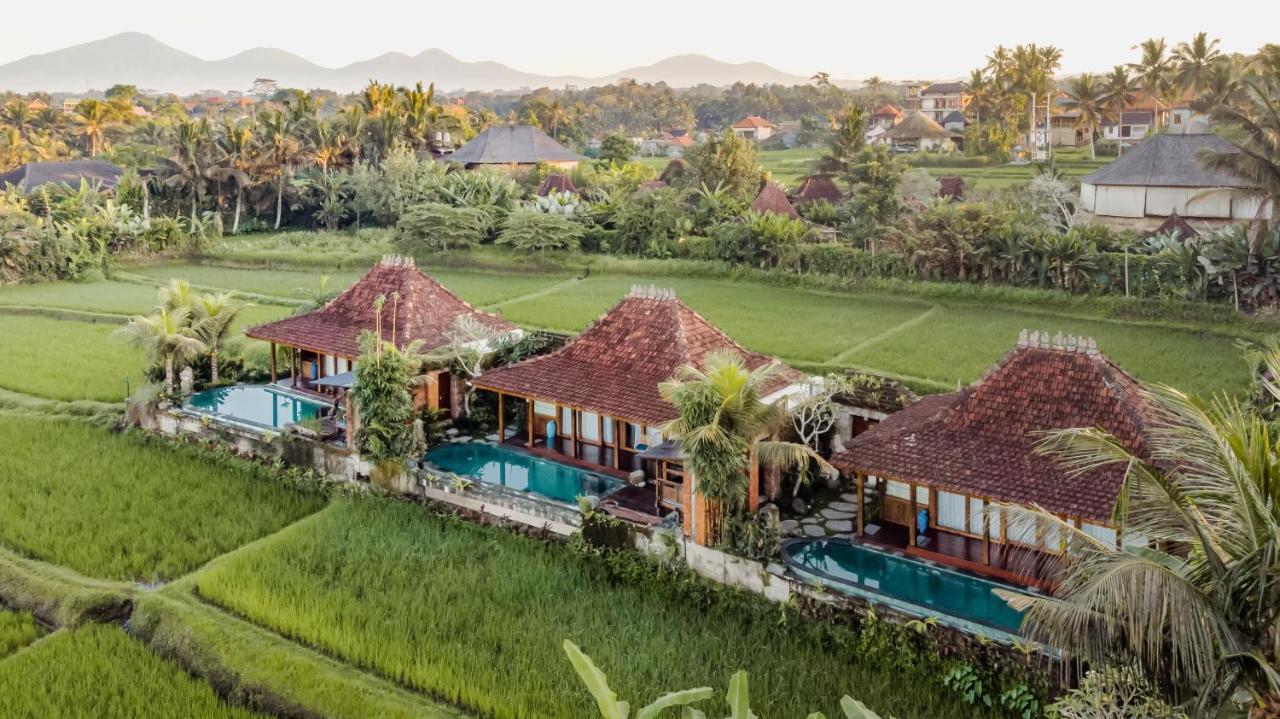 One-Bedroom Villa with Private Pool