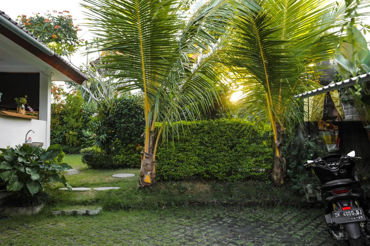 Superior Villa