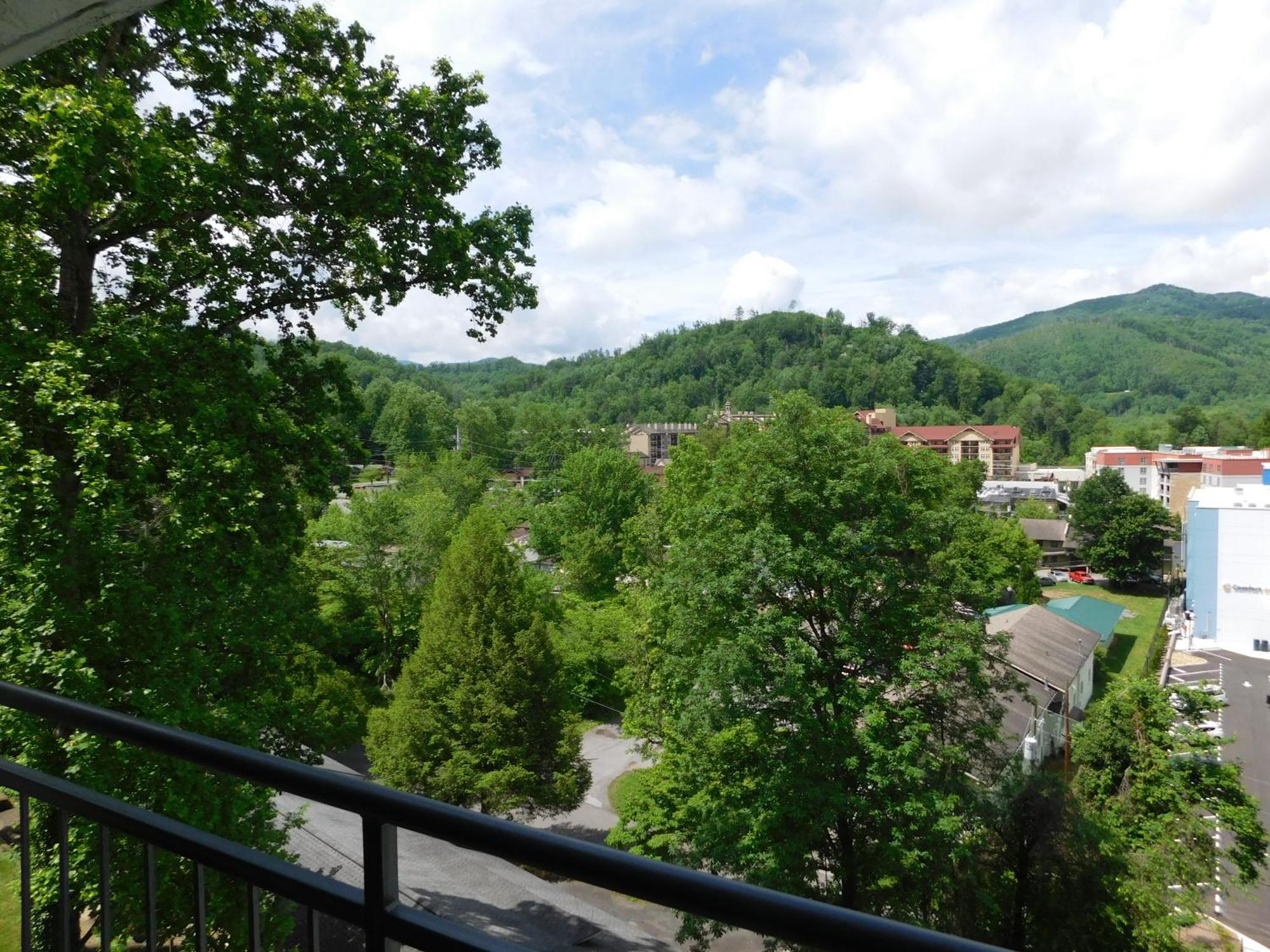 Laurel Inn 508