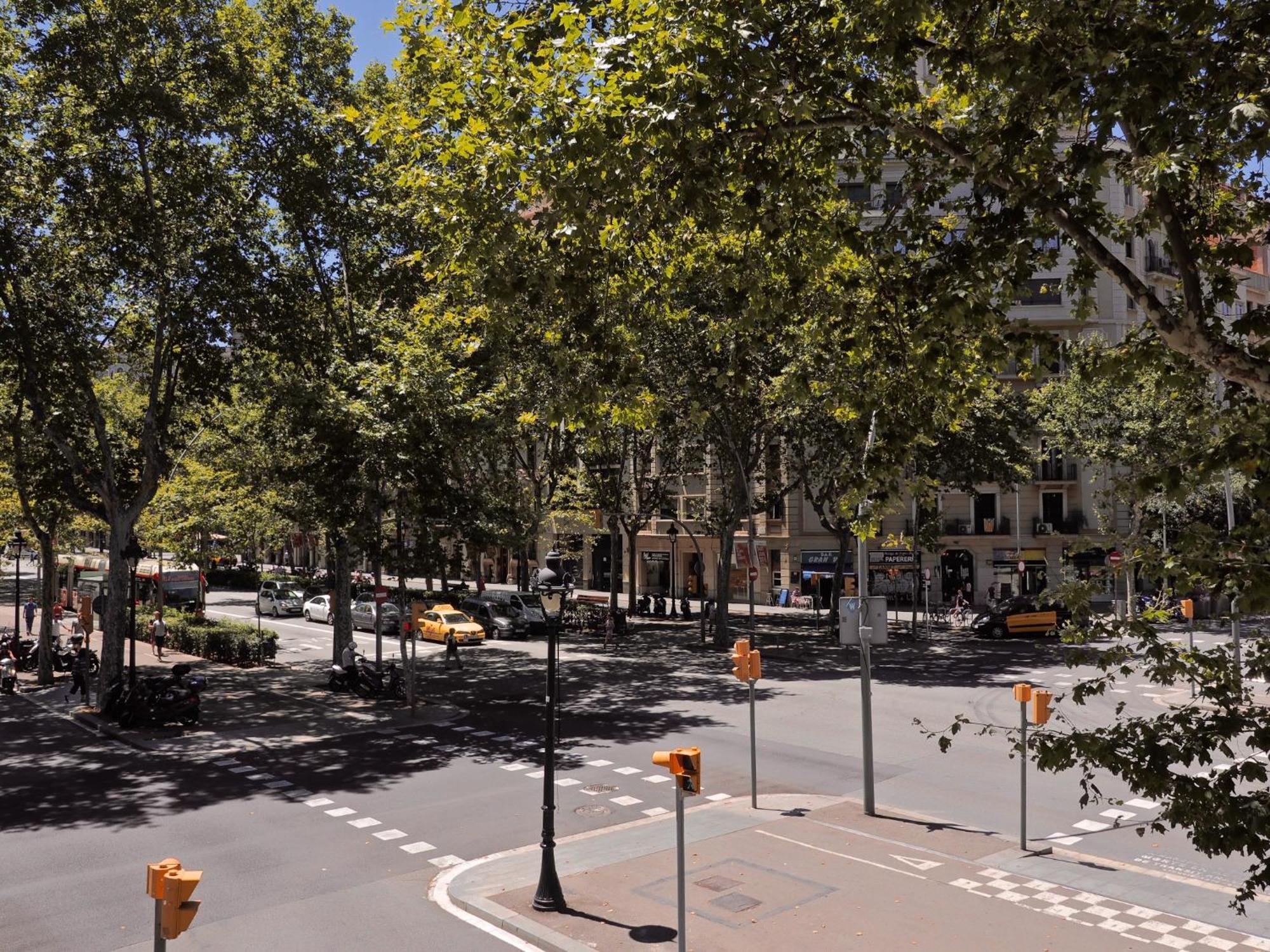 Apartment,1596077044:JPEG