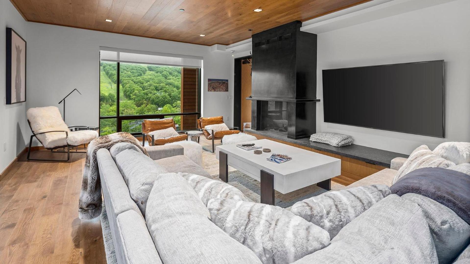 Apartment with Mountain View
