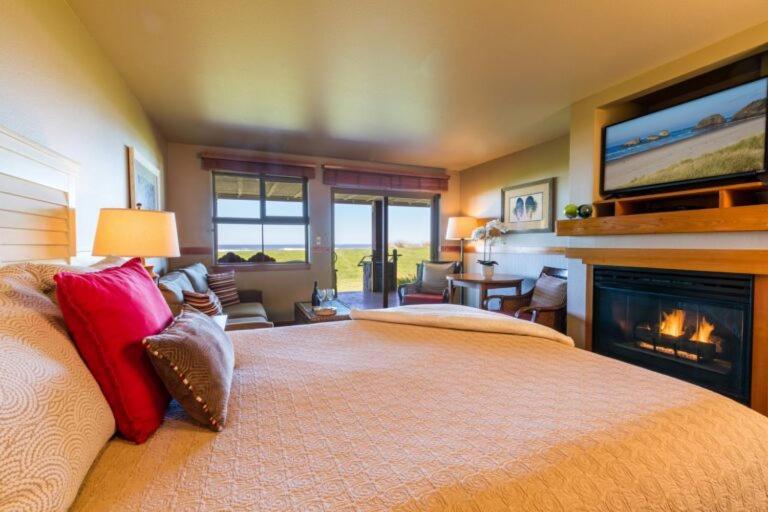 Queen Accessible Studio Sofa Sleeper Non Pet-Friendly