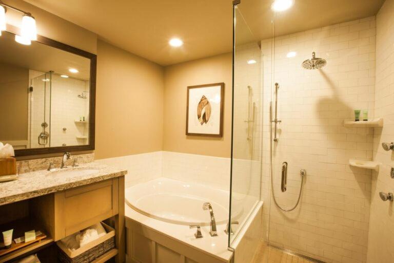 Premier King Studio Second Floor Sofa Sleeper Non Pet-Friendly