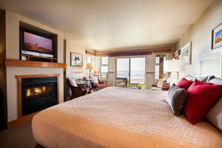 Premier King Studio First Floor Sofa Sleeper Pet Friendly