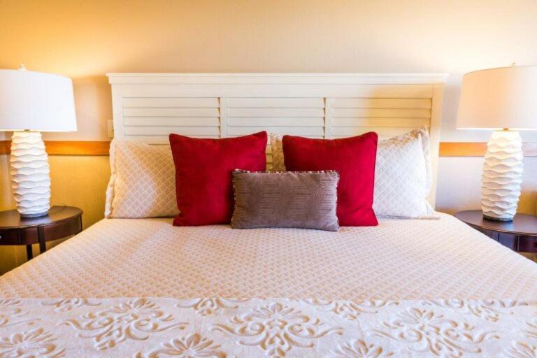 Premier King Studio First Floor Sofa Sleeper Pet Friendly