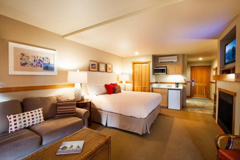 Premier King Studio First Floor Sofa Sleeper Pet Friendly