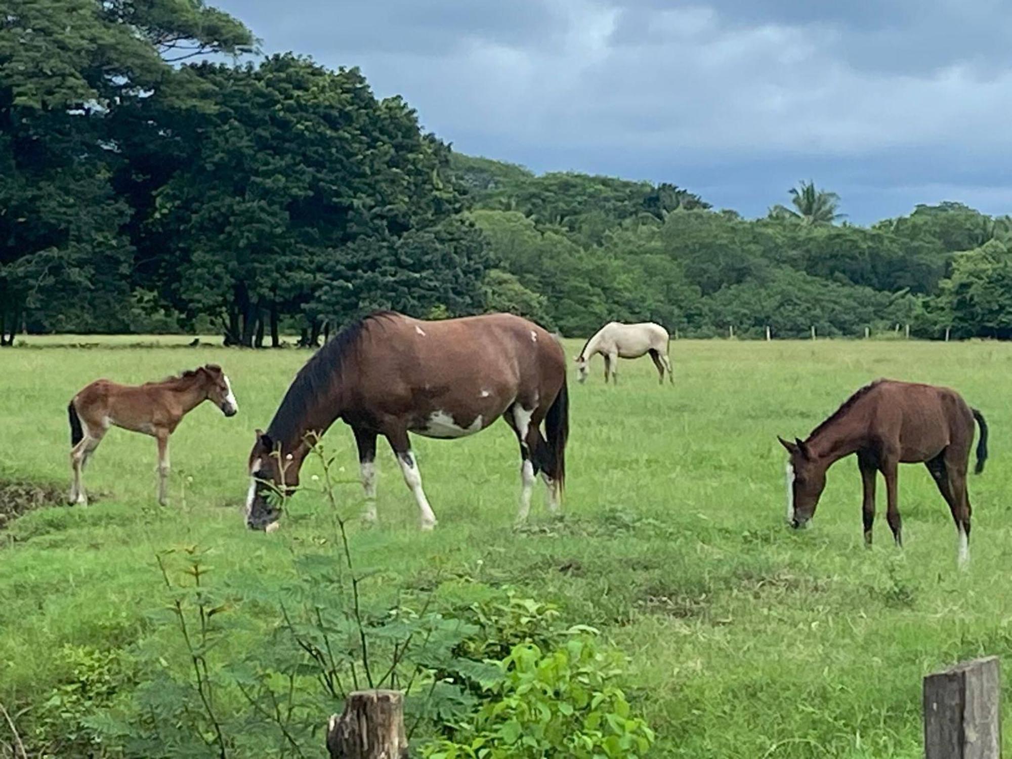 Holiday Home,1680334520:JPEG