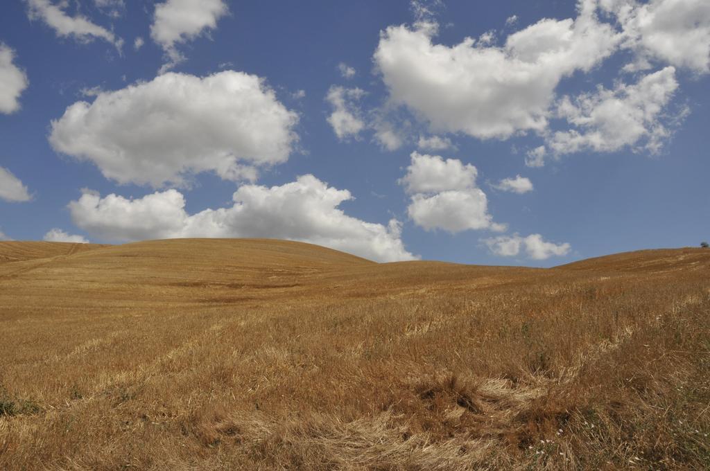 One-Bedroom Apartment - Ground Floor,214768868:JPEG