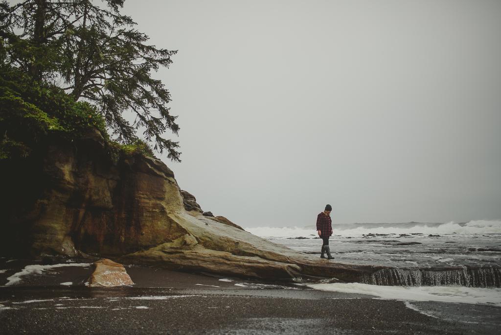 Three-Bedroom House,375310165:JPEG