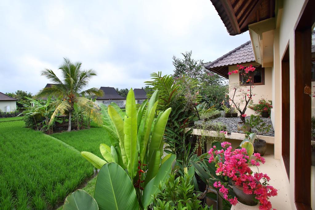 Solera Three-Bedroom Villa with Private Pool