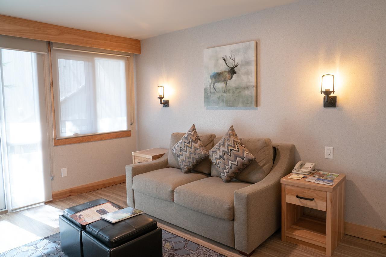 Studio Apartment,718278136:JPEG