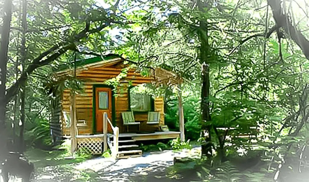 Alaska Creekside Cabins In Seward-1