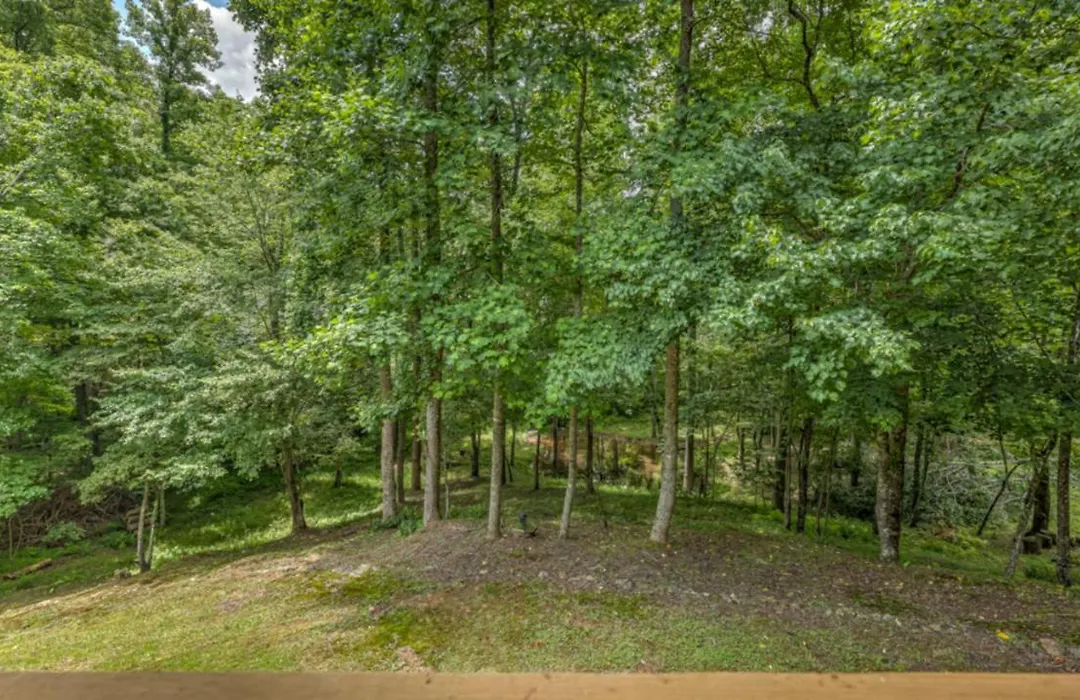 Tranquility Pond - Pet Friendly | Hot Tub | Sits On A Natural Pond | Pool Table | Fire Pit-1