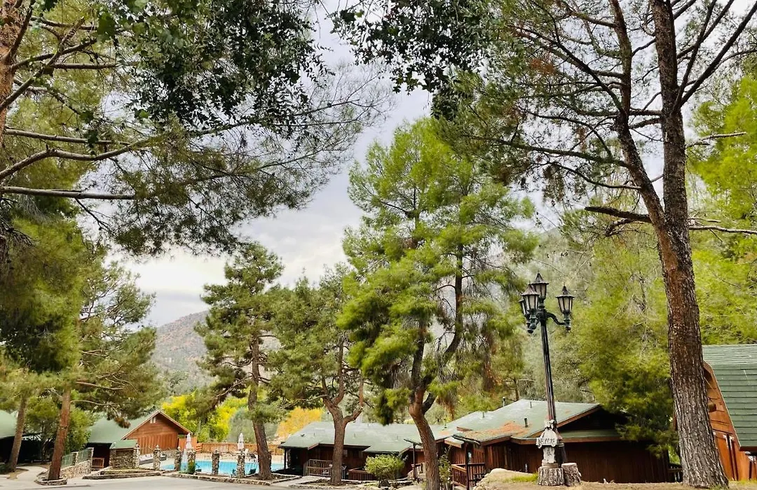 Whispering Pines Lodge-1