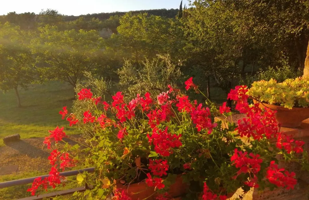Agriturismo Sommassa-1