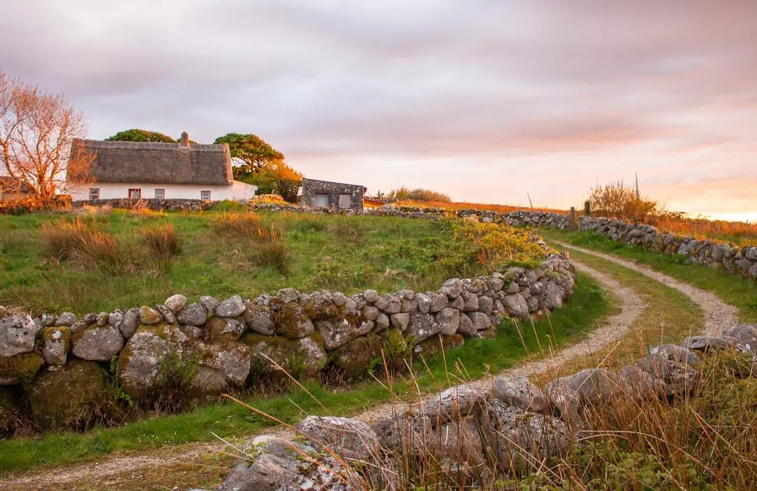 Cnoc Suain-1