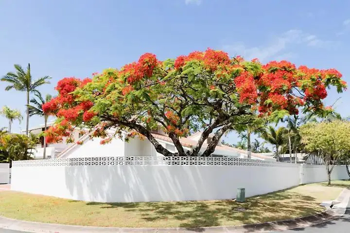 Poinciana House—Luxury Noosa Retreat Close To Beach-1