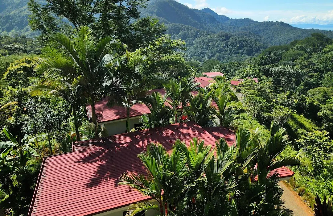 Nature'S Edge Boutique Hotel-1
