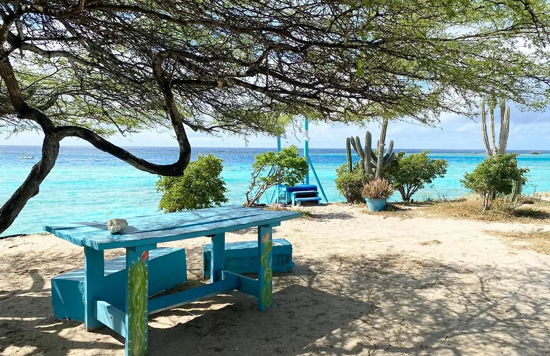 Casa Azure Aruba-1