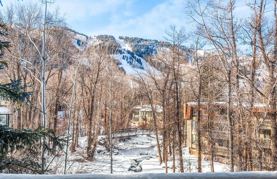 315 Park Avenue, Luxury Townhouse With River Views In Aspen-1