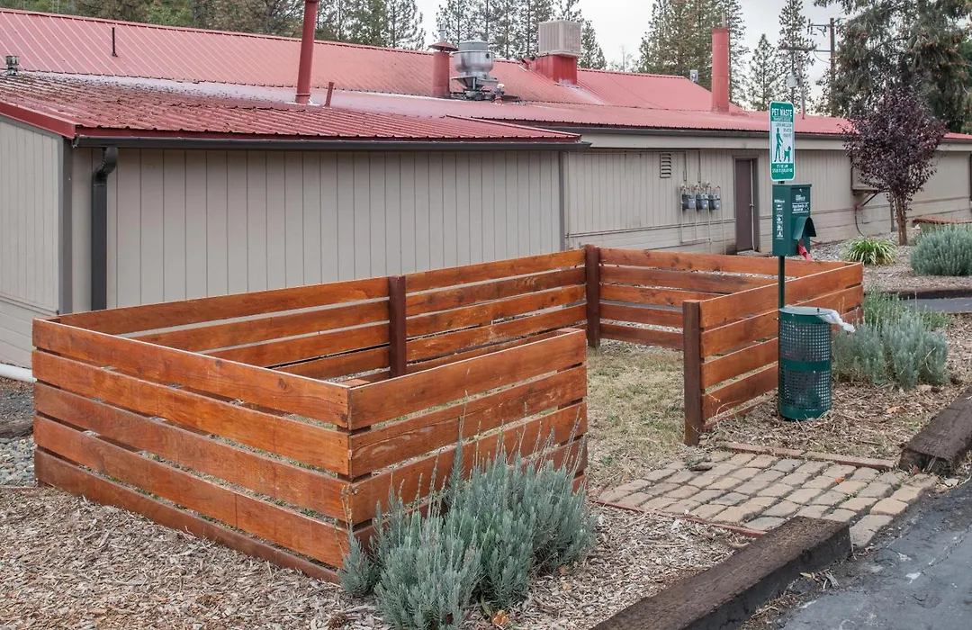 Buck Meadows Lodge-1