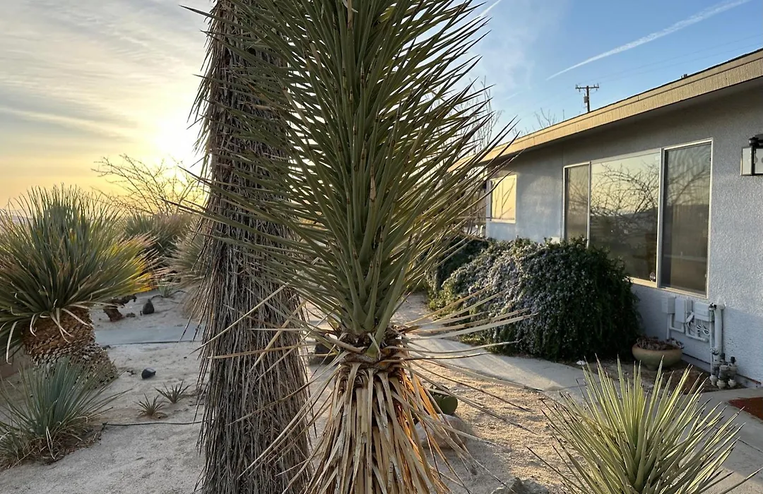 The Outpost Joshua Tree: Hot Tub, Gameroom, Jtnp-1