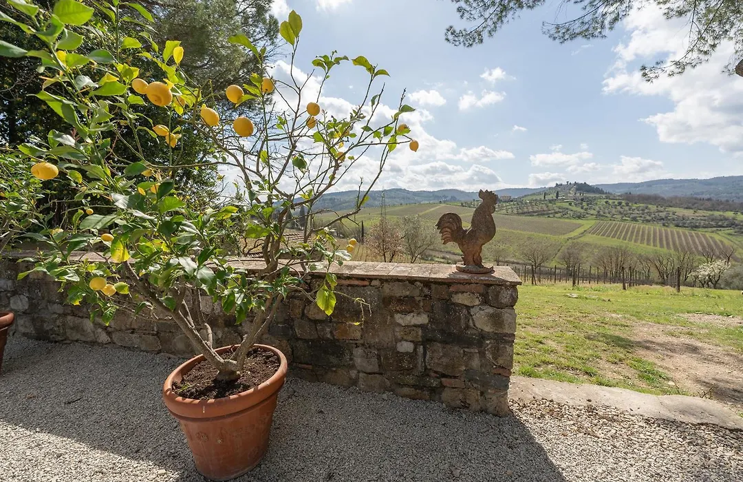 Corte Di Valle-1
