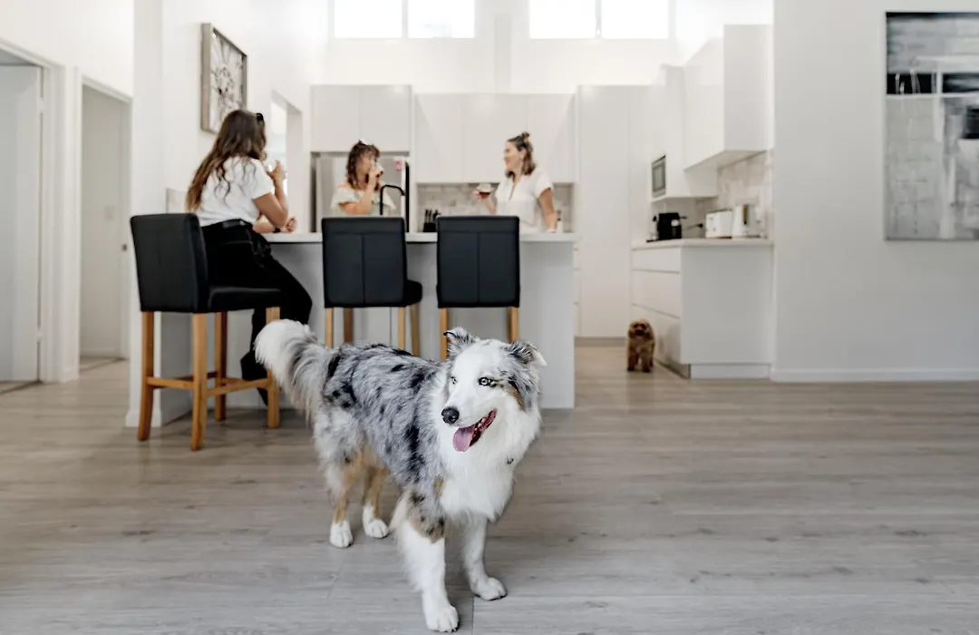 Family & Pet-Friendly Luxury Near Hastings St-1