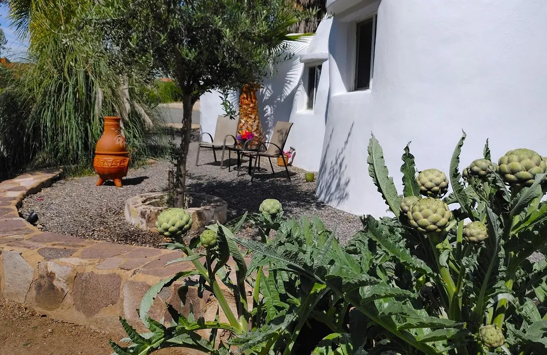 Hacienda Eco-Domes-1