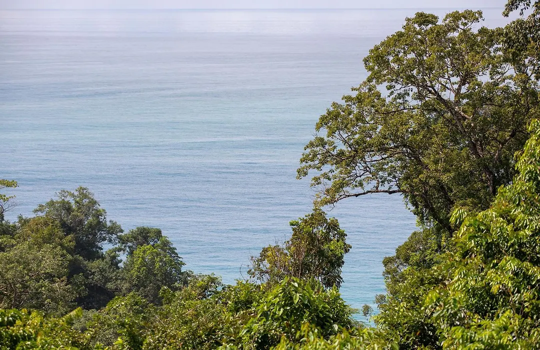 El Remanso Rainforest Lodge-1