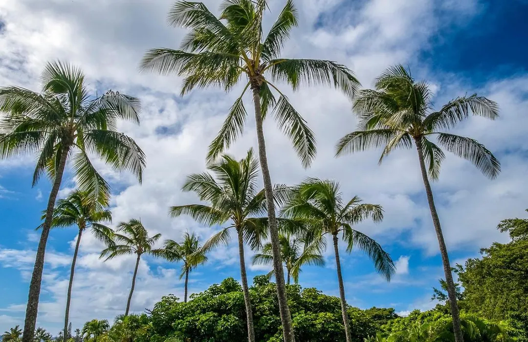Kahala At Poipu Kai 123-1
