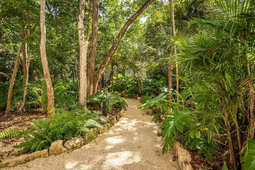Tuane Tulum Luxury Homes-1