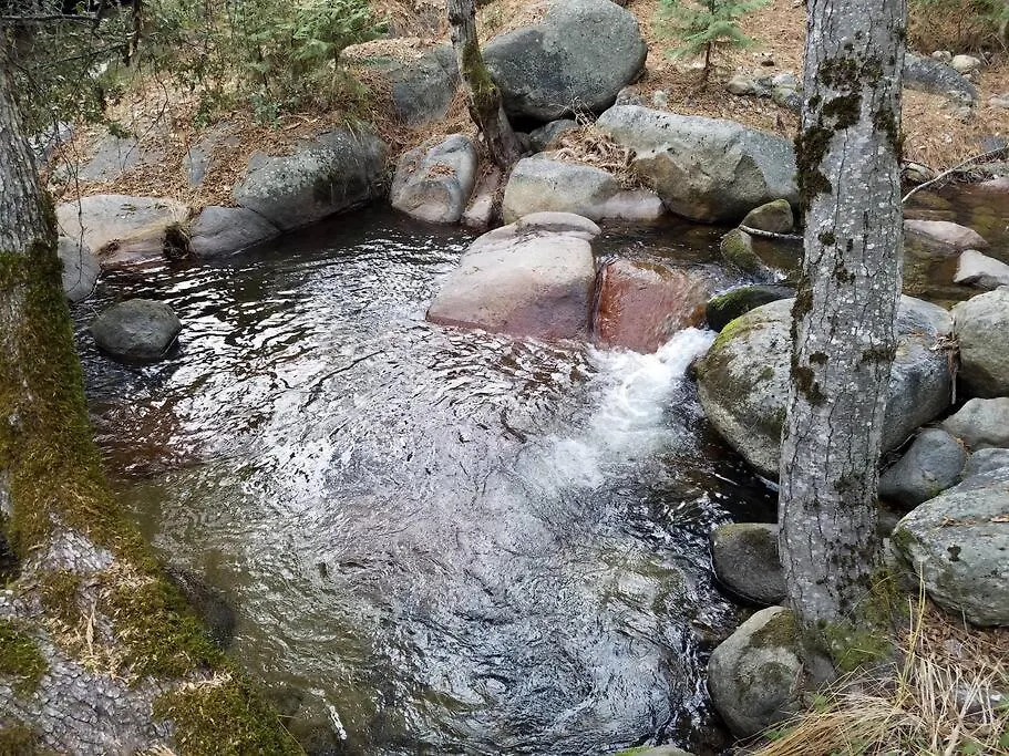Riverside Manna-1