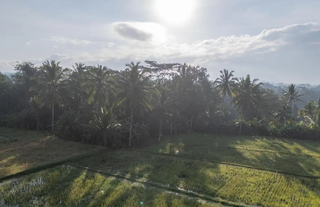 Aditara Sebatu Villa-1