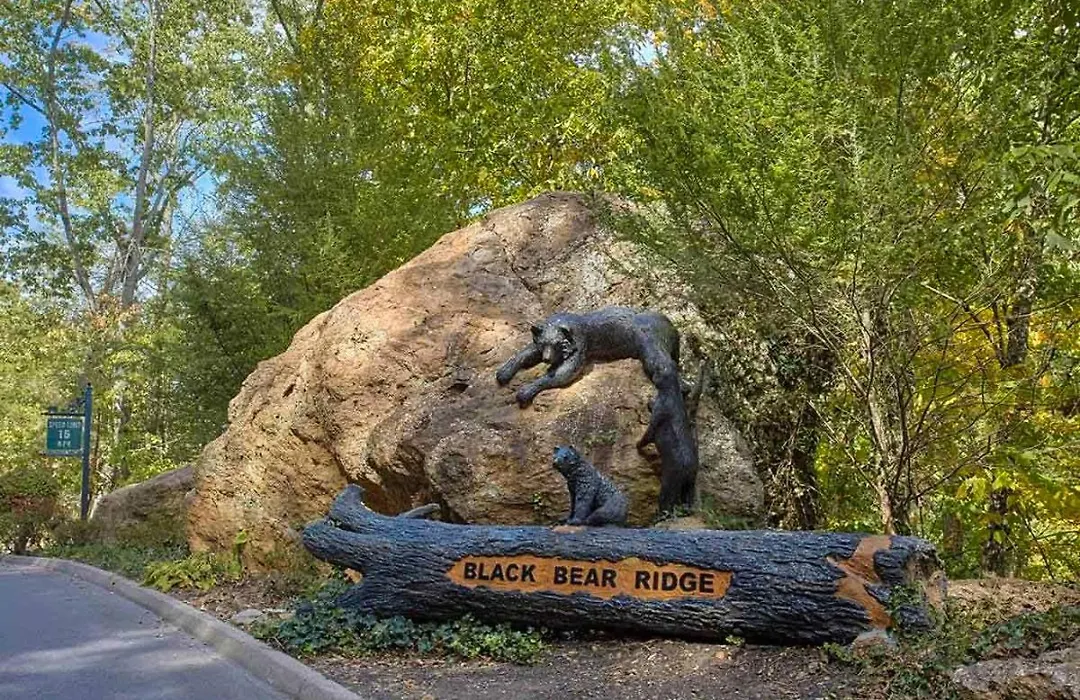 Black Bear Ridge Resort: Awesome Views-1