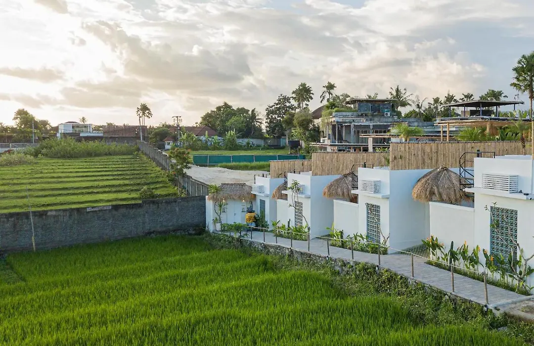 Kokomo Villas By Aayan-1