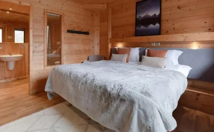 Chalet Les Arolles-1