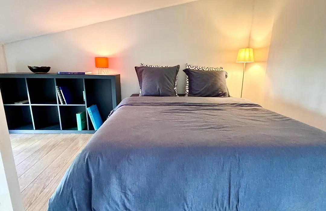 Loft Orfila-1