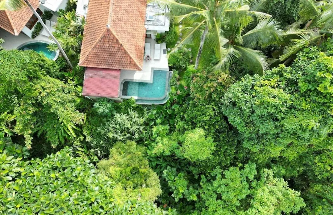 Dancing Orchid Luxe Villa, Private Pool, And Jungle Views-1