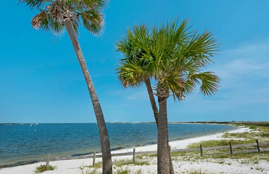 Seas The Day Navarre-1