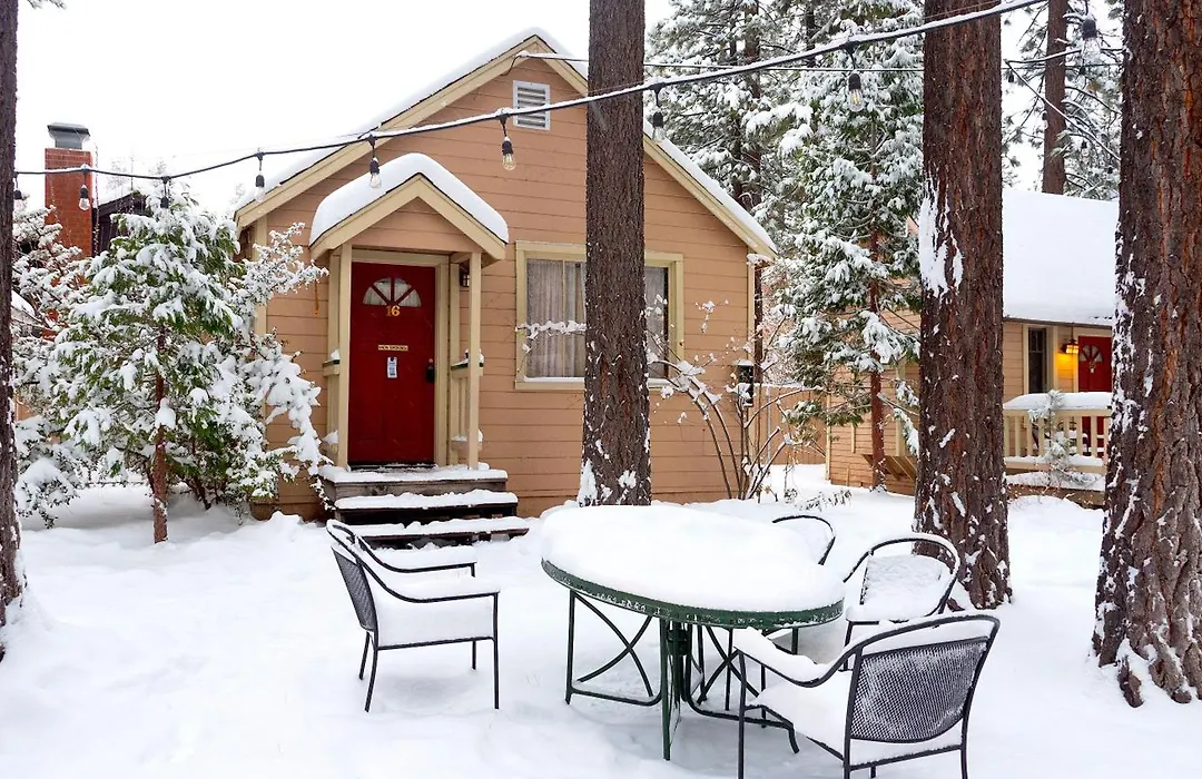 Sleepy Forest Cottages-1