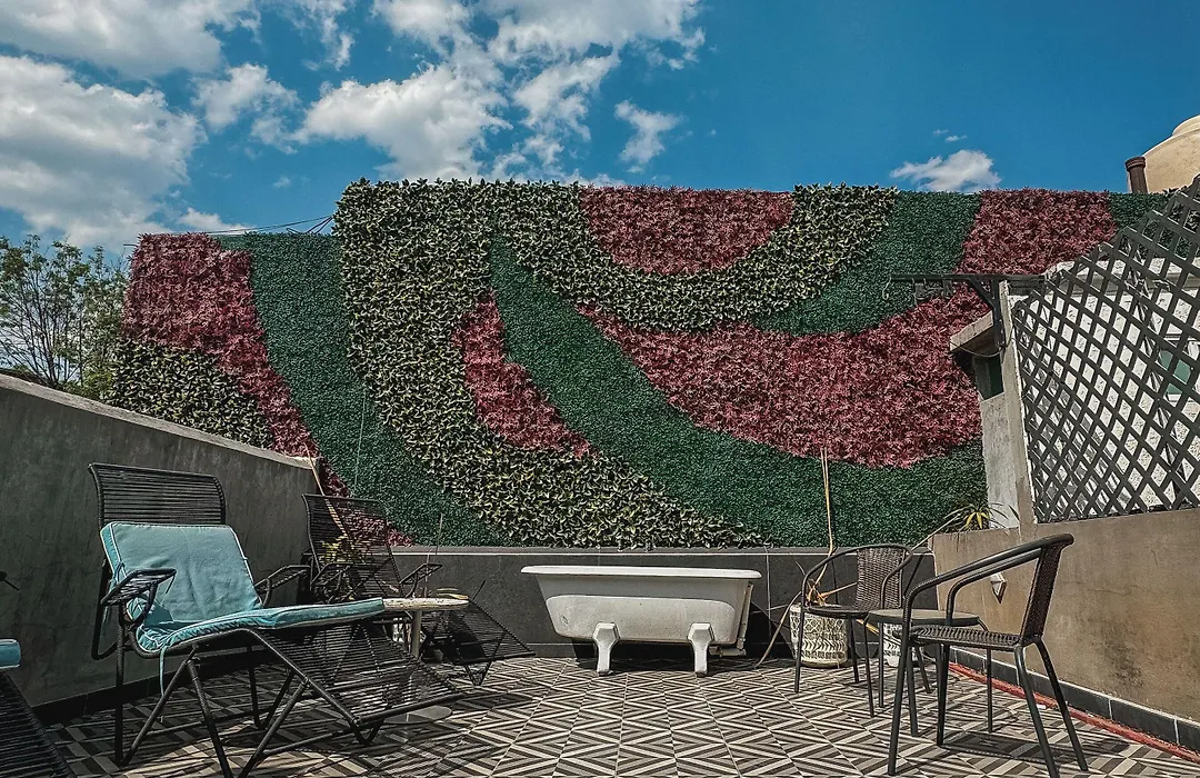 Condesa Haus Rentals-1