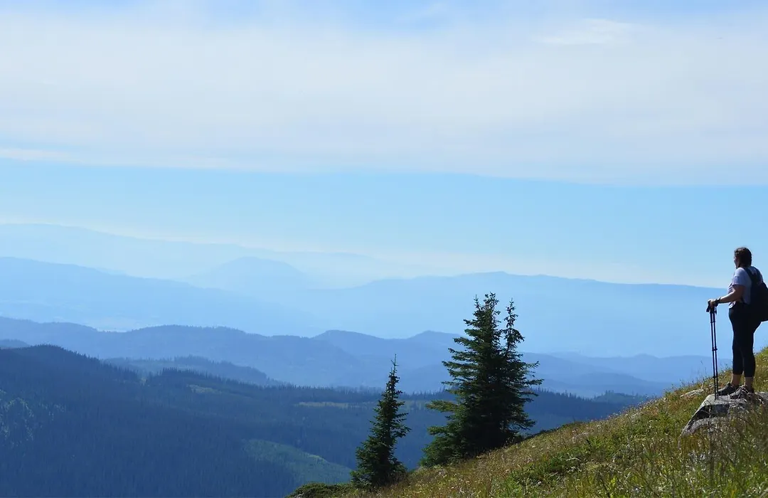 Echo Landing #12 By Bear Country-1