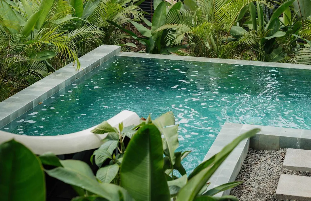 Manuel Antonio Tree House Villas - 4 Bedrooms-1