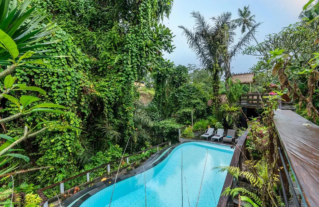 Parvati Retreat Villas-1