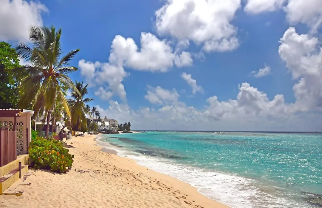 Arcadia Beachfront-1