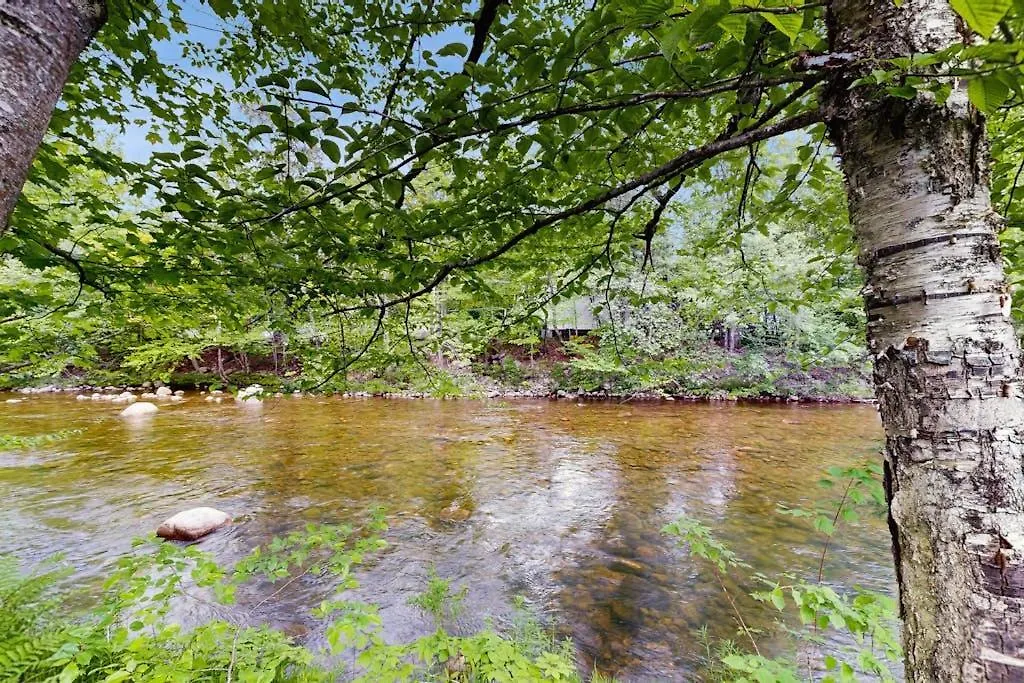 Eclectic Studio Cabin W/ Kitchenette, Free Wifi, Riverfront Location & More-1