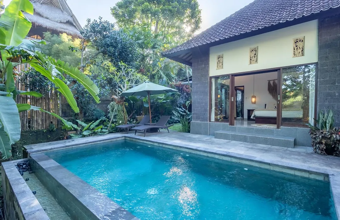 Dena'S Place Ubud-1