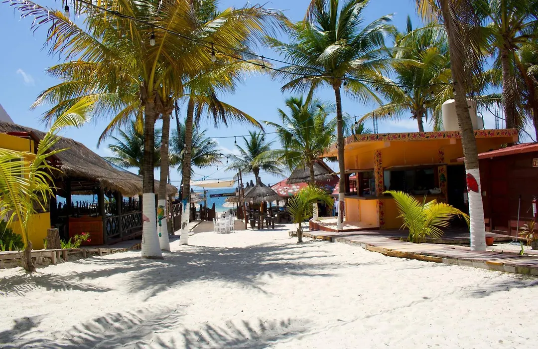 The Diving Lodge Downtown-1